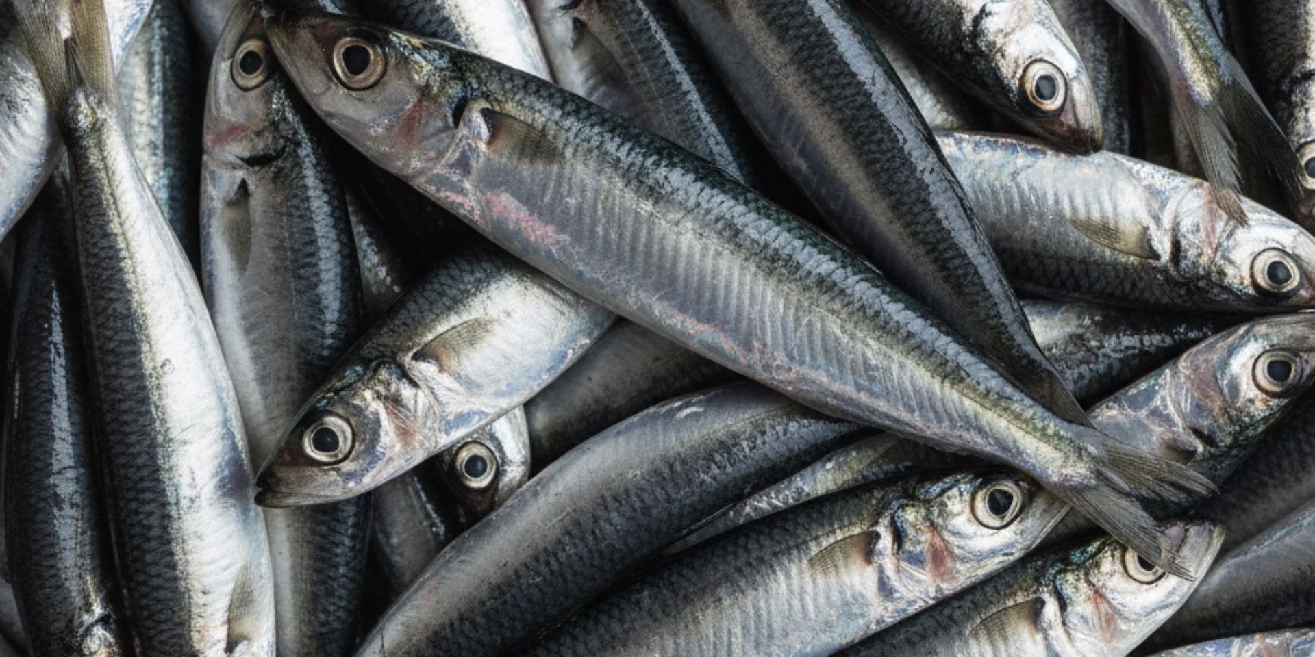 Deeply Nourishing Fish Bone Broth With Fennel & Lemongrass