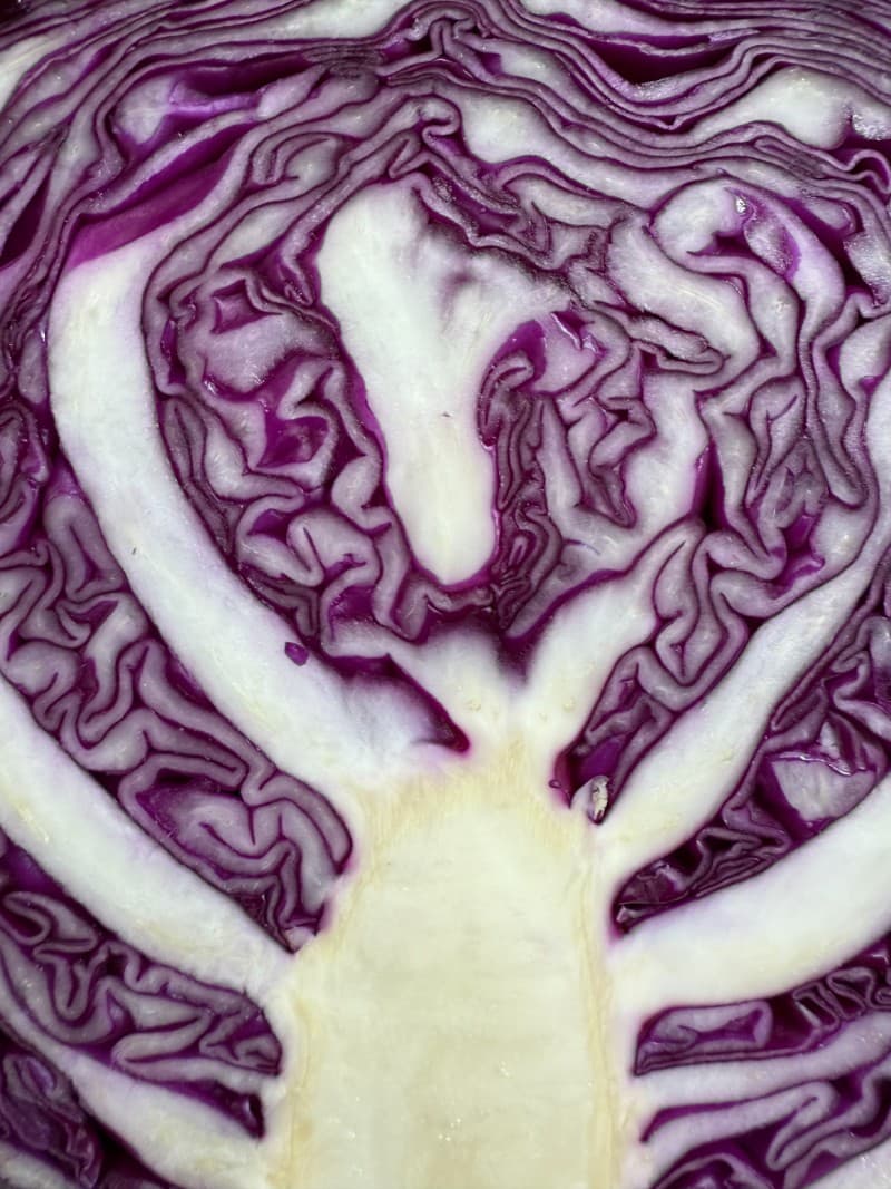 Cover image for Asian Chicken Slaw Salad