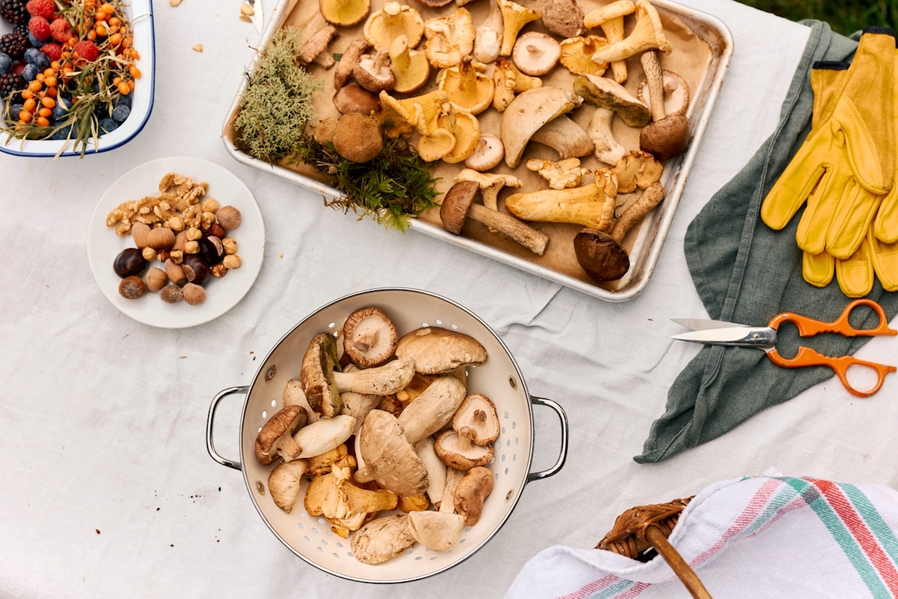 Gut-Healing Miso & Mushroom Soup