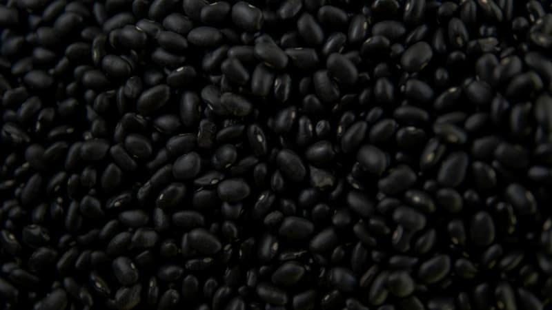 Cover image for Spicy Black Bean, Corn & Avocado Salad