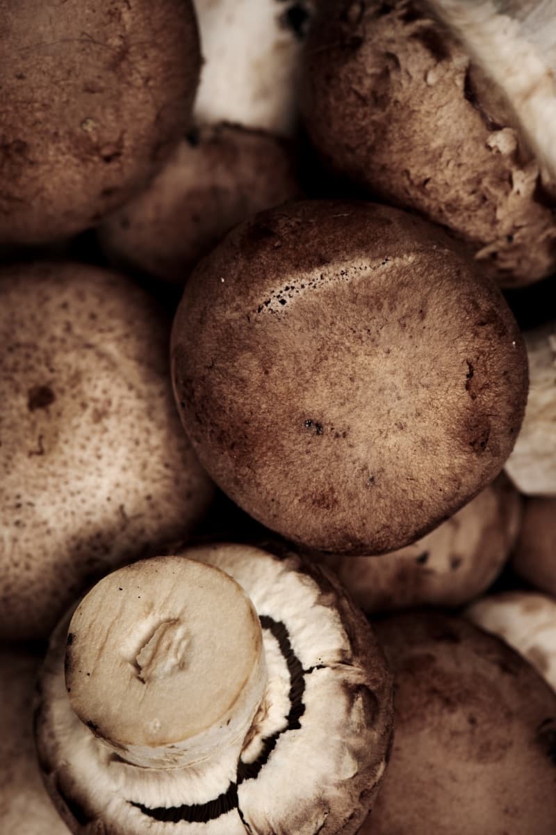 Cover image for Gut-Healing Miso & Mushroom Soup