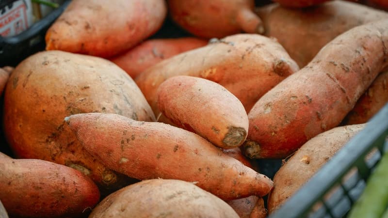 Cover image for Red Lentil & Sweet Potato Soup With Cumin