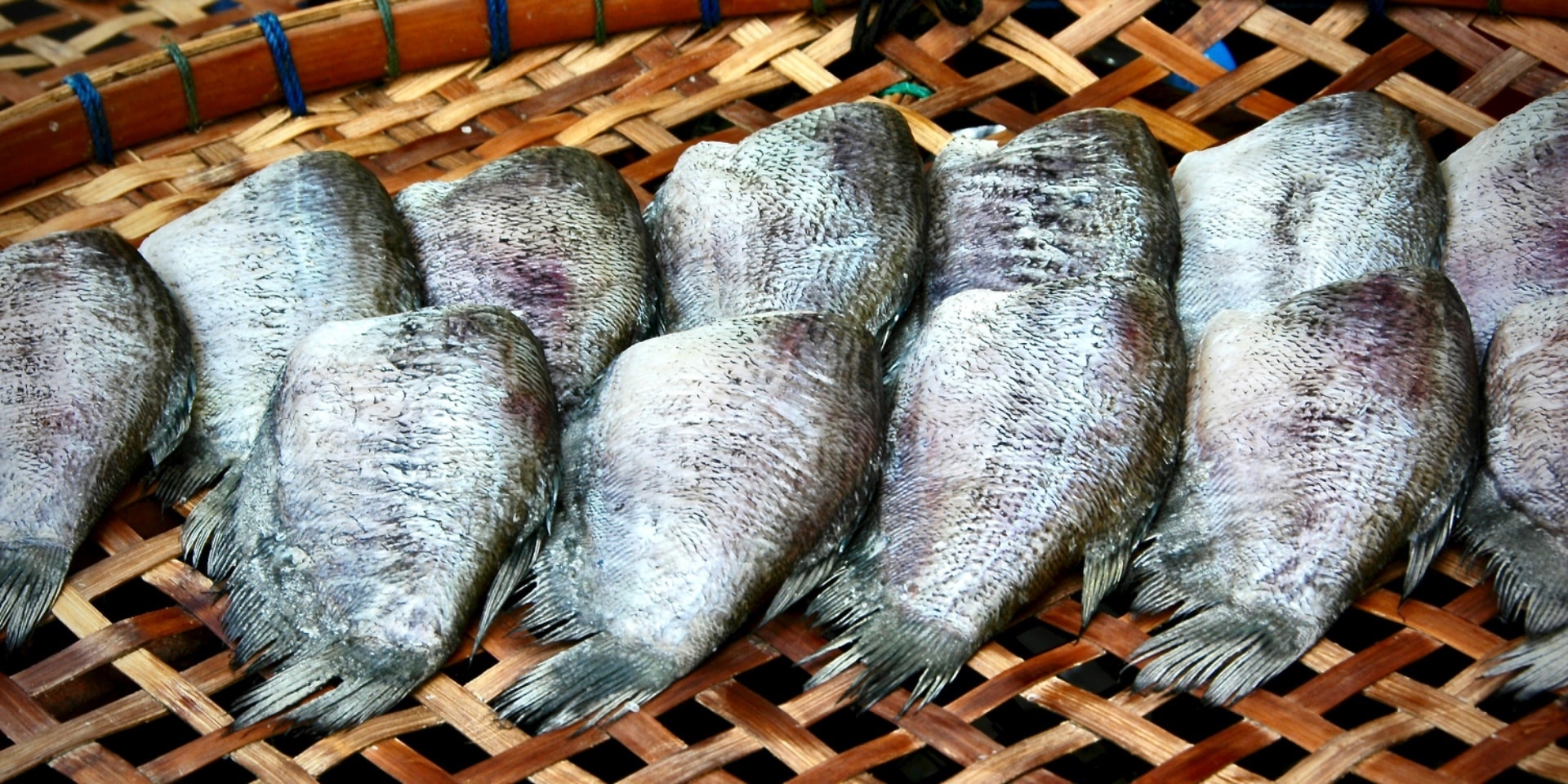 Thai Coconut & Lime Fish Curry