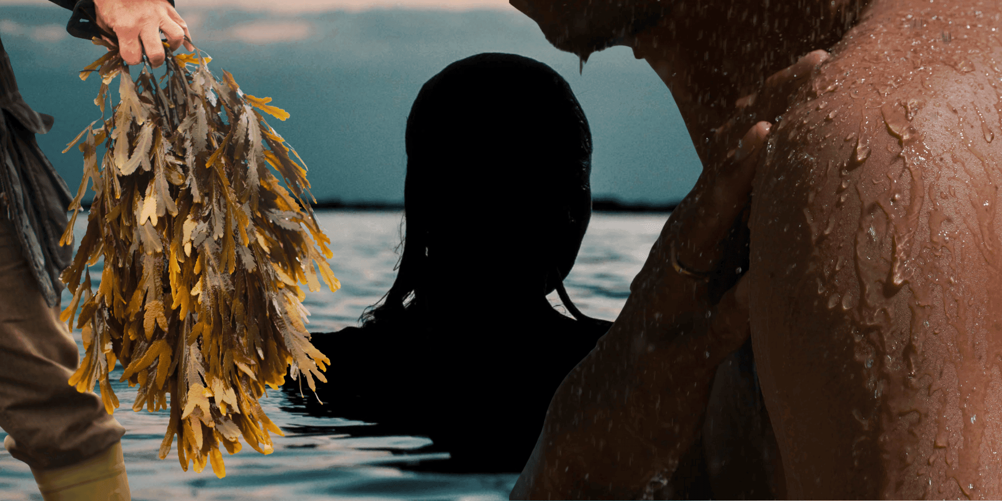 The Science Of Seaweed Skincare