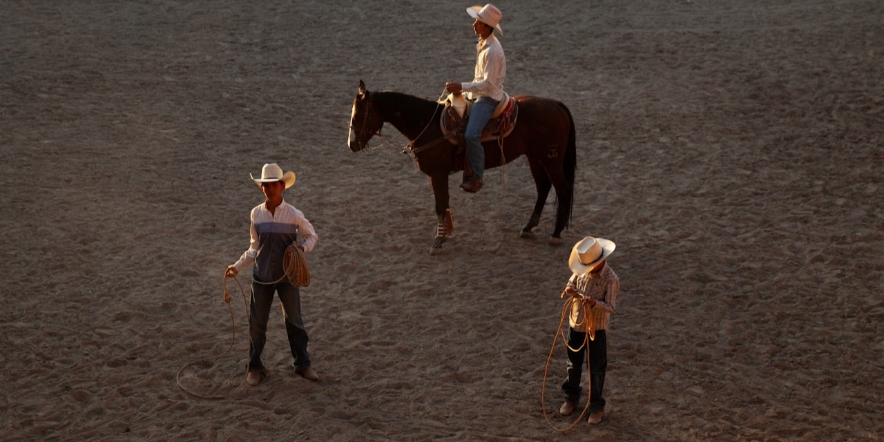 What The Year Of The Fire Horse Means For Your Energy