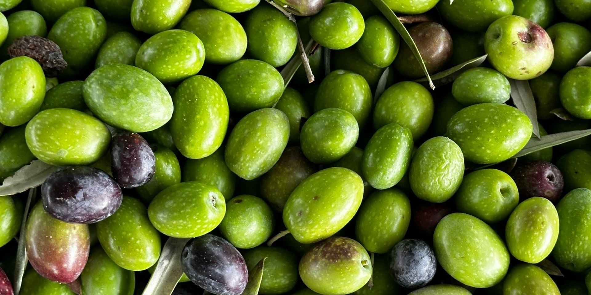 Forget Vodka And Tequila, Everyone's Taking Olive Oil Shots: Here's Why