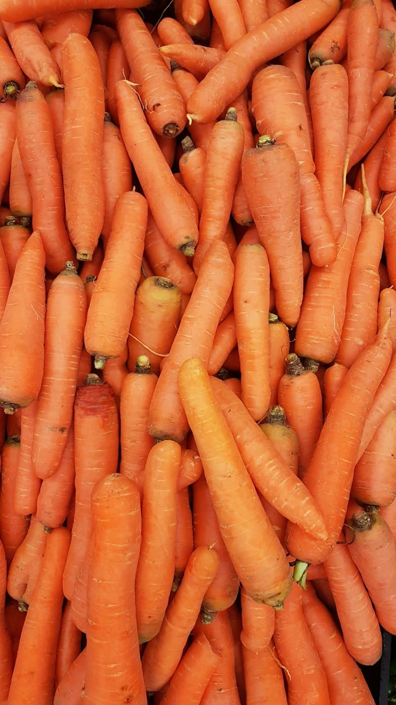 Cover image for Wild Garlic, Carrot & Lentil Warm Salad