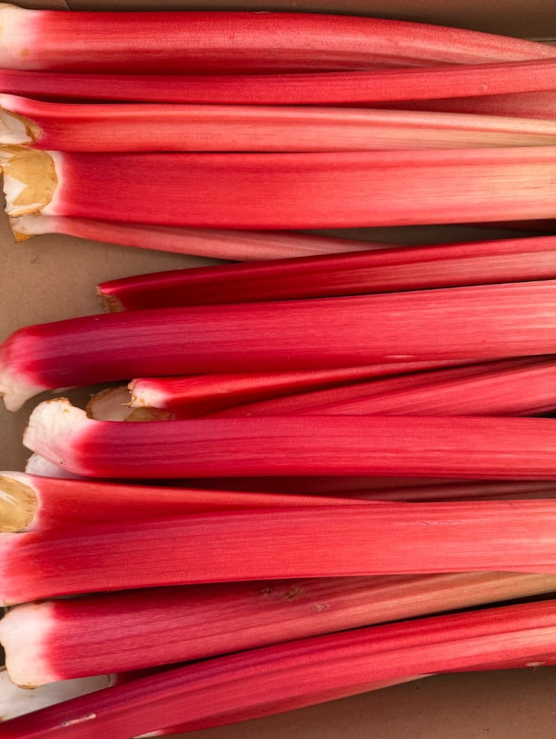 Cover image for Roasted Rhubarb, Vanilla & Labneh With Pistachio Crunch
