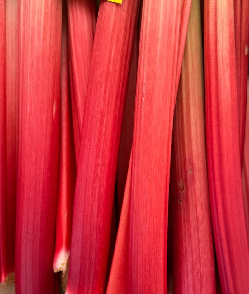 Cover image for Rhubarb, Lemon & Olive Oil Polenta Cake