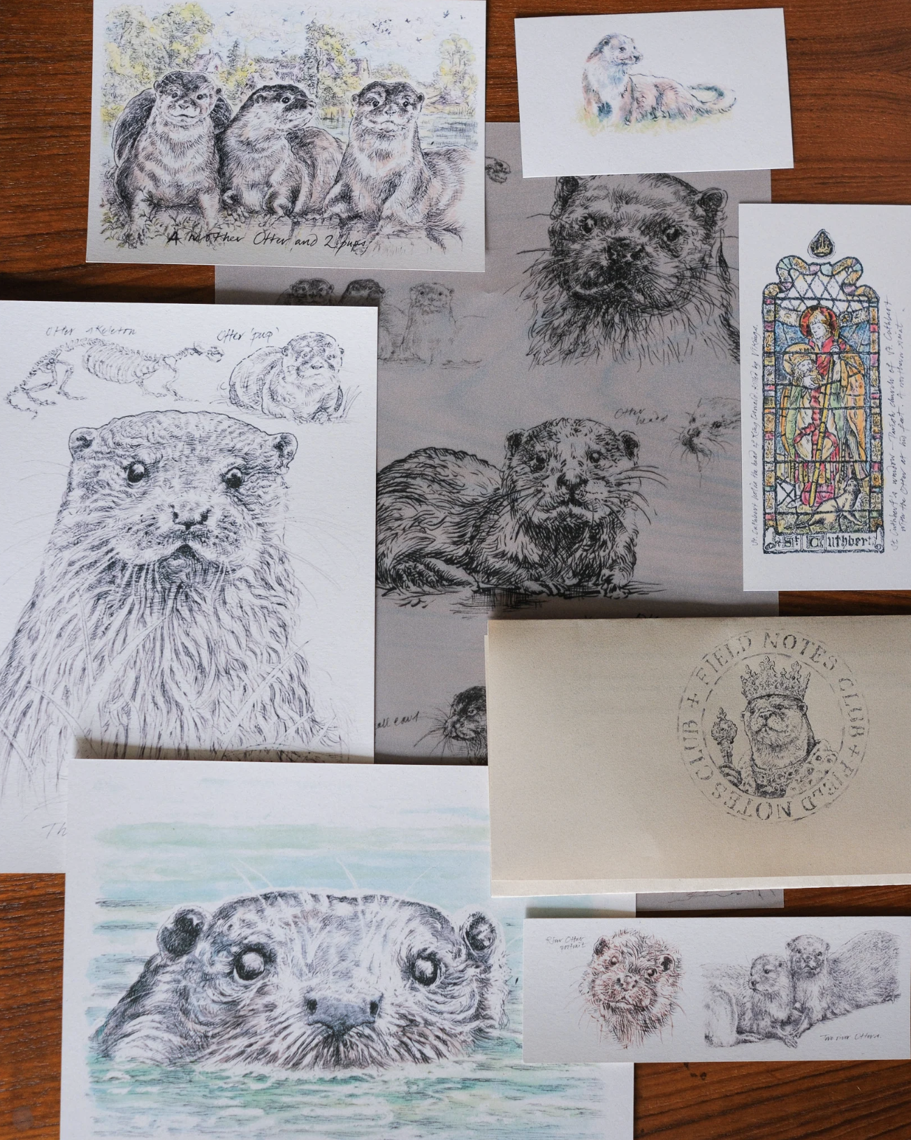 Snail mail club of otters