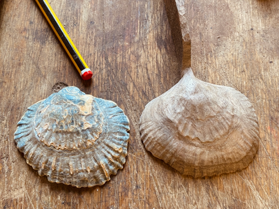 Harriet Horton wooden shell spoon